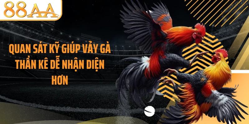 Quan sát kỹ giúp vảy gà thần kê dễ nhận diện hơn
